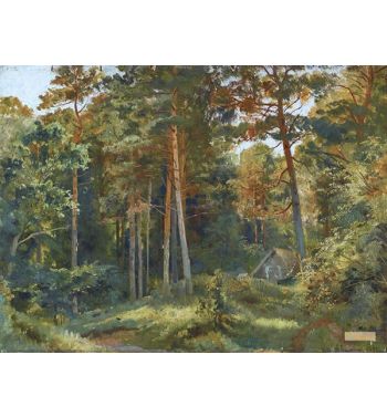 The Mill In The Forest 1896