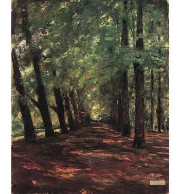 Allee In Overveen