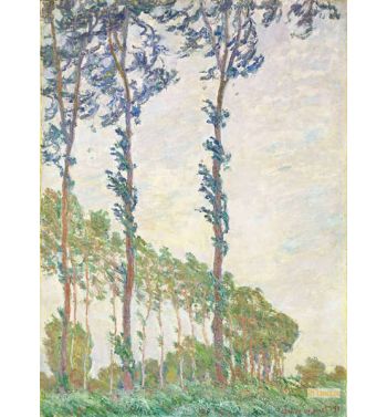 Wind Effect Sequence Of Poplars 1891