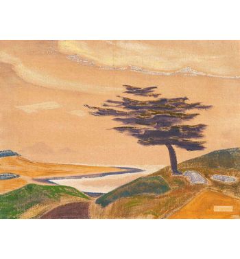 Coast Ledenets 1919