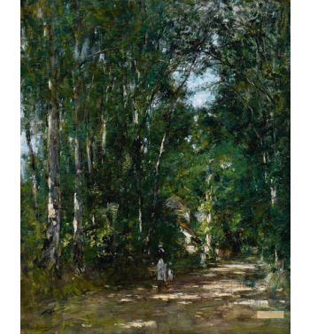 Environs De Trouville Allee Sous Bois