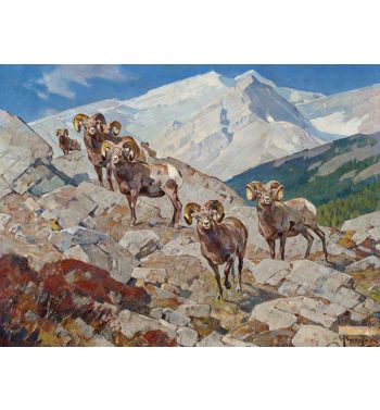 Rams