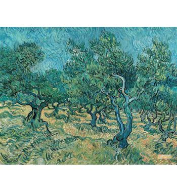 Olive Grove 2
