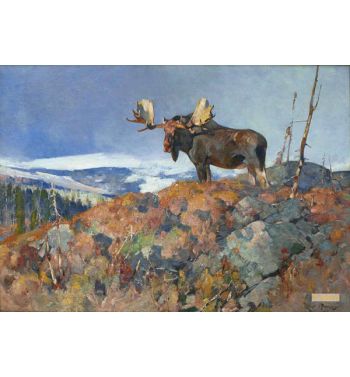 Moose in Landscape