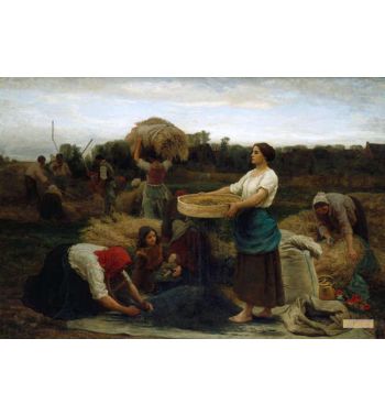 The Colza, Harvesting Rapeseed, 1860