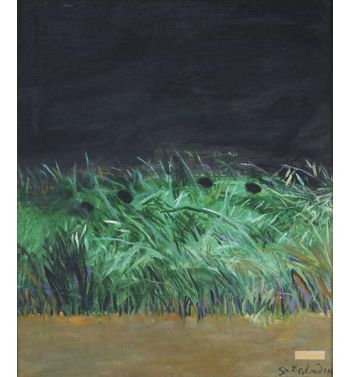 Grasses Against Dark Sky