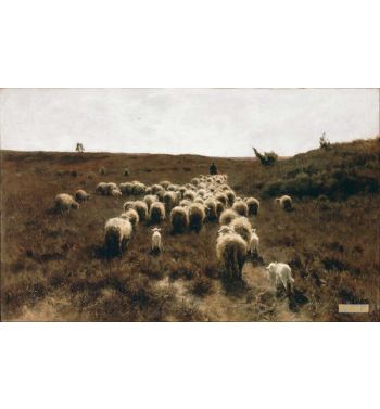 The Return Of The Flock Laren