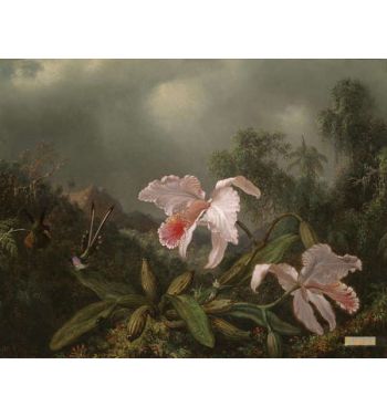 Jungle Orchids And Hummingbirds 1872