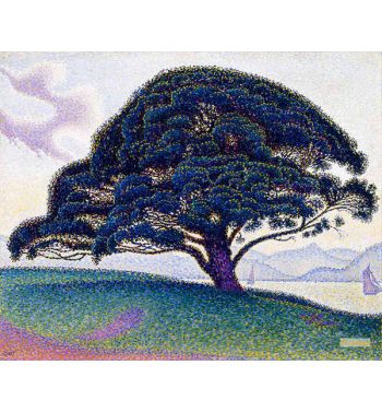 The Bonaventure Pine
