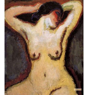 Female Torso