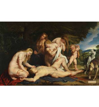 Death Of Adonis