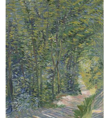 Path In The Woods