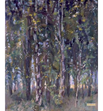 Forest, C, 1935