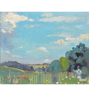 Sommerlandschaft