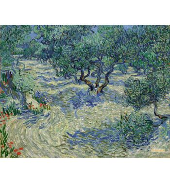 Olive Orchard 1889