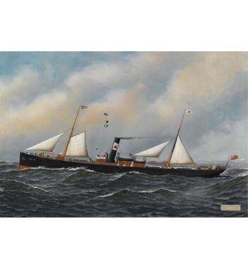 The Screw Steamer Honiton