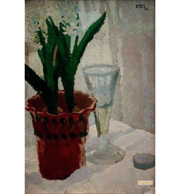 Hyacinths