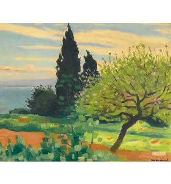 Cypres And Blossom Trees