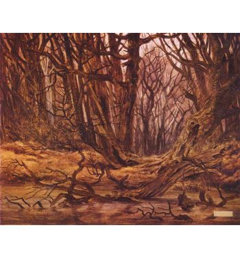 Forest In Late Autumn Forest Water Autumn Forest 