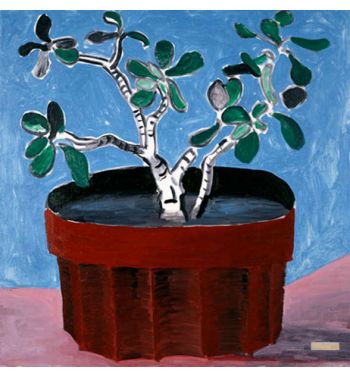 Potted Jade
