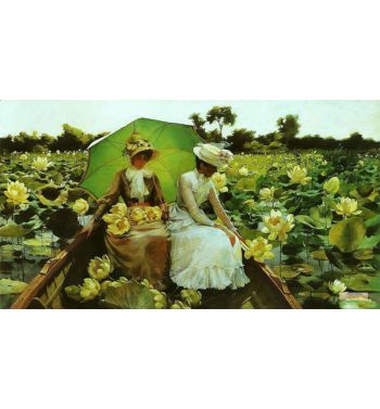 Lotus Liliesnfrancais Nenupharsn