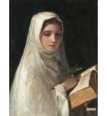 The Novice