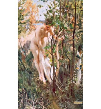 Eve
