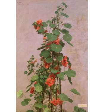 Nasturtiums, 1880