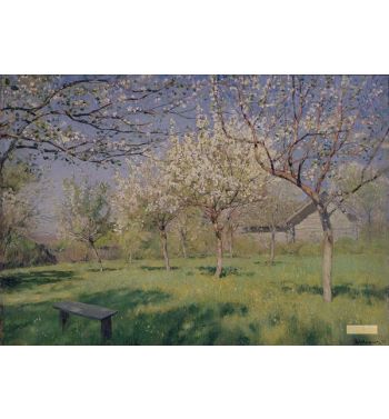 Apple Trees Blooming C 1895