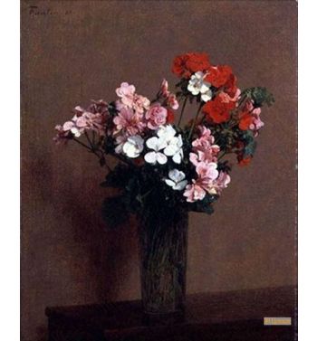Geraniums