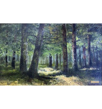 Forest 1890S