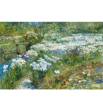 The Water Garden