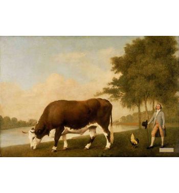The Lincolnshire Ox 