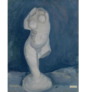 Torso Of Venus 3