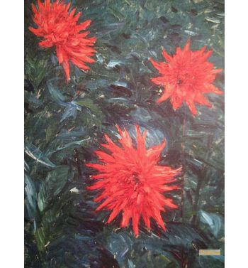 Dahlias Red Cactus, 1892