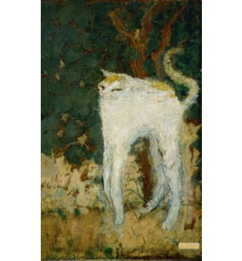 The White Cat
