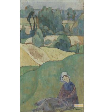 Woman Sitting In A Field