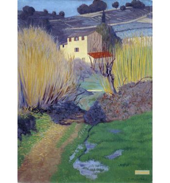 Landscape In Cagnes