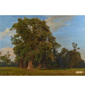 Great Prater Landscape