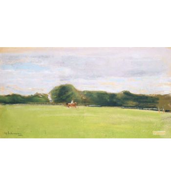 The Polo Field In Jenischs Park 1902