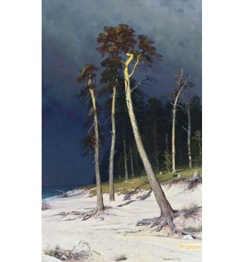 Sandy Coastline 1879