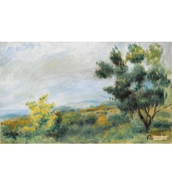 Landscape Trees In The First Plan And Seaside