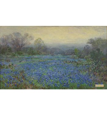 Field Of Bluebonnets