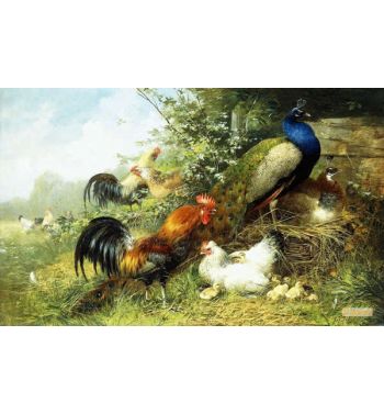Fowl And Peacocks 1899
