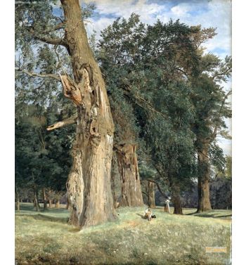 Old Elms In Prater 1831
