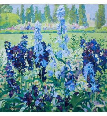 Larkspur