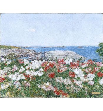 Poppies On The Isles Of Shoals 1890