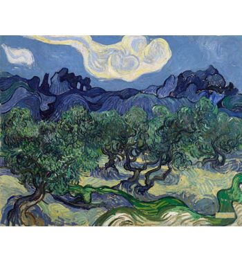 Olive Trees 2