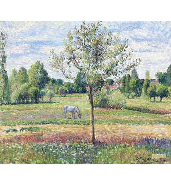 The Meadow With A Horse Cloudly Weather Eragny