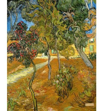 Trees In The Garden Of Saint Paul Hospital 